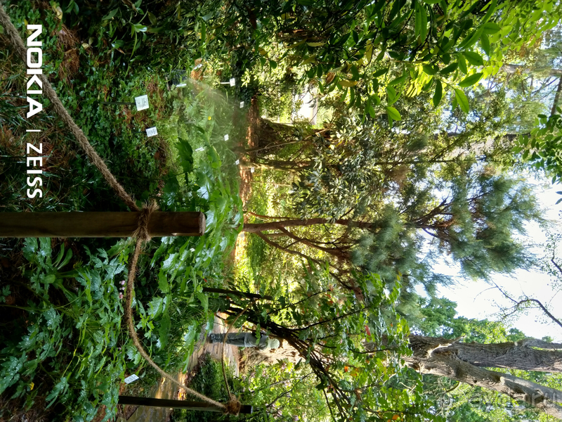 Cаксония, Германия. Лейпцигский зоопарк и Ботанический сад.