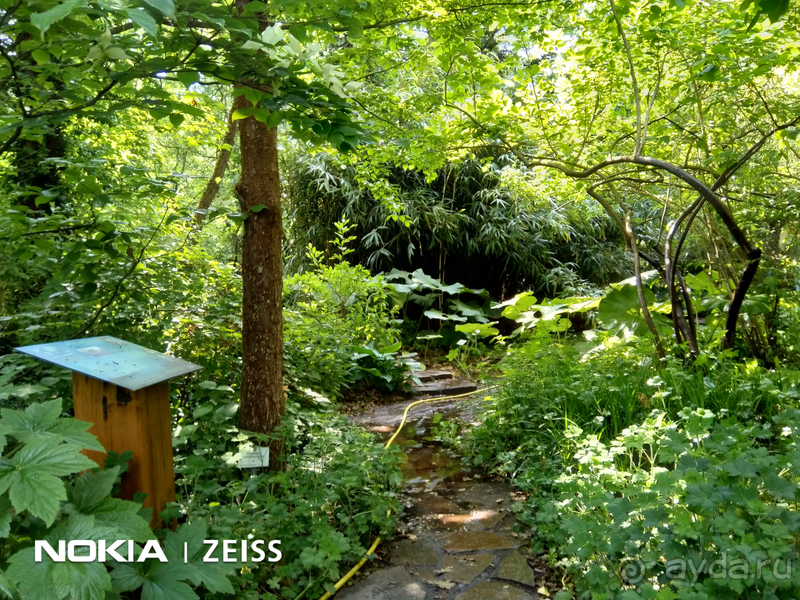 Cаксония, Германия. Лейпцигский зоопарк и Ботанический сад.