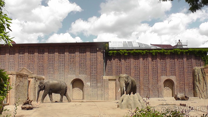 Cаксония, Германия. Лейпцигский зоопарк и Ботанический сад.