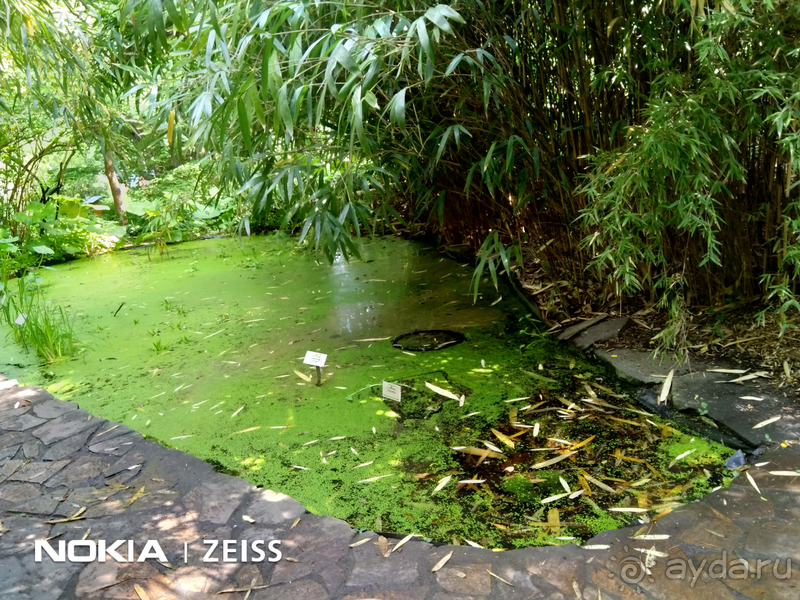 Cаксония, Германия. Лейпцигский зоопарк и Ботанический сад.