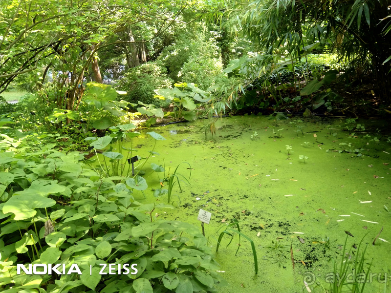 Cаксония, Германия. Лейпцигский зоопарк и Ботанический сад.