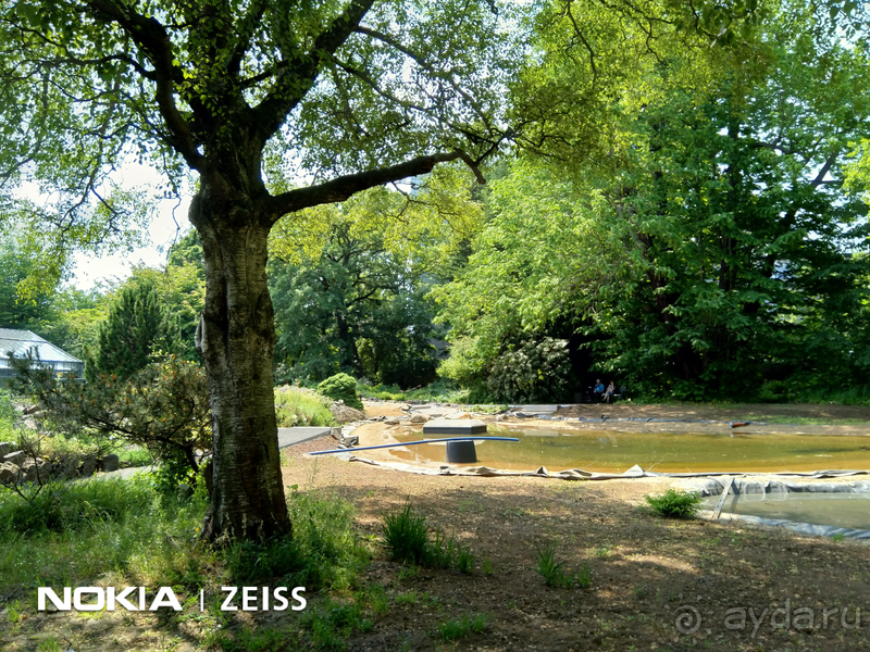 Cаксония, Германия. Лейпцигский зоопарк и Ботанический сад.