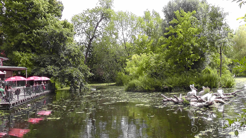 Cаксония, Германия. Лейпцигский зоопарк и Ботанический сад.
