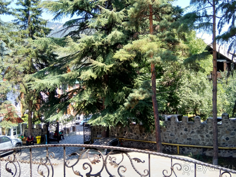 Грузия. Попала в Грузию в карантин и я попала…Отель Боржоми-палац г.Боржоми.