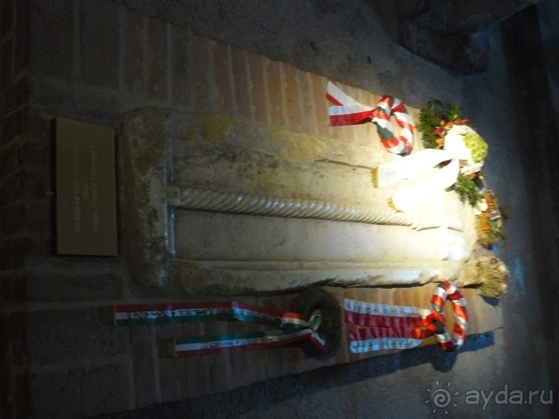 фото Belconti Resort Hotel