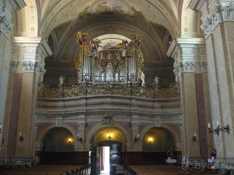 фото Belconti Resort Hotel