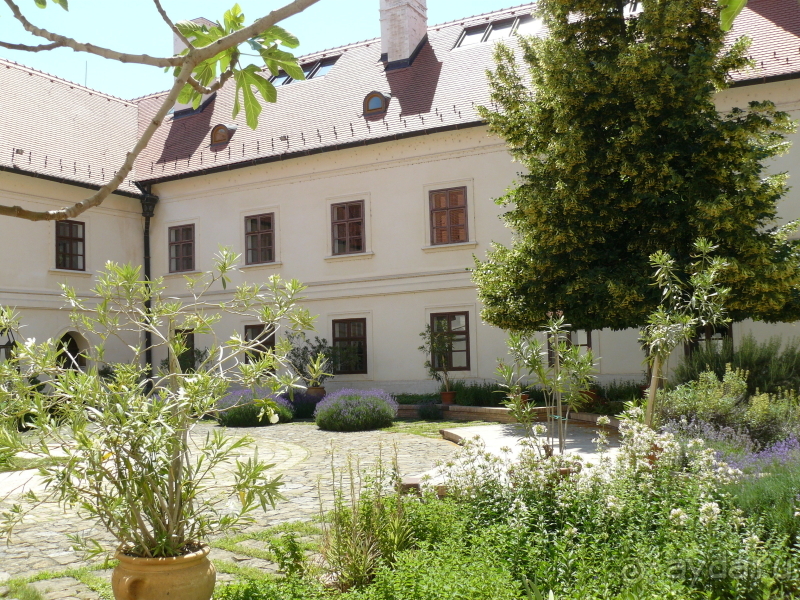 фото Belconti Resort Hotel