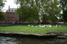 Брюгге, Бельгия. «Гулять, так гулять!». Брюгге – день