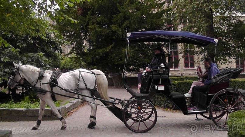 Брюгге, Бельгия. «Гулять, так гулять!». Брюгге – день