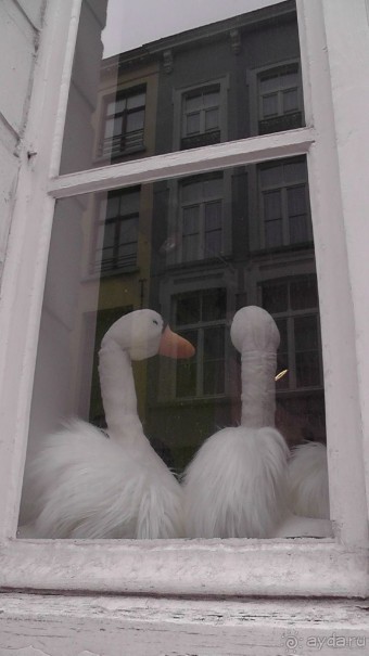 Брюгге, Бельгия. «Гулять, так гулять!». Брюгге – день