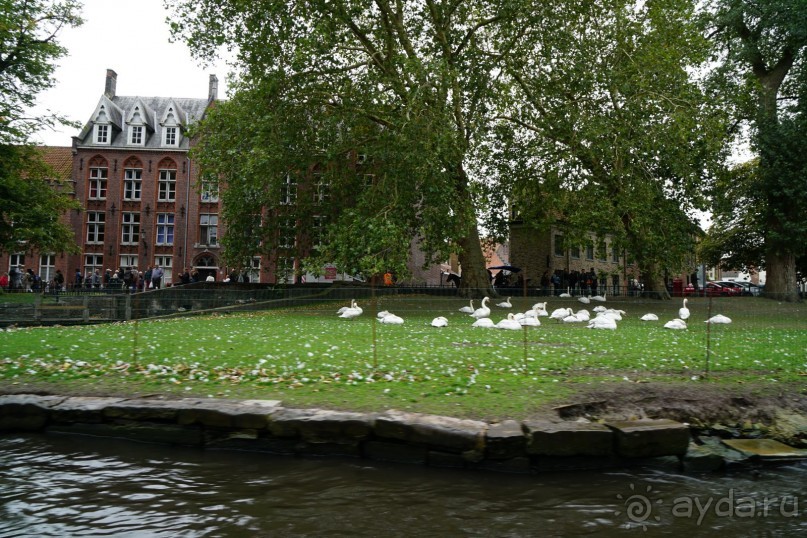 Брюгге, Бельгия. «Гулять, так гулять!». Брюгге – день