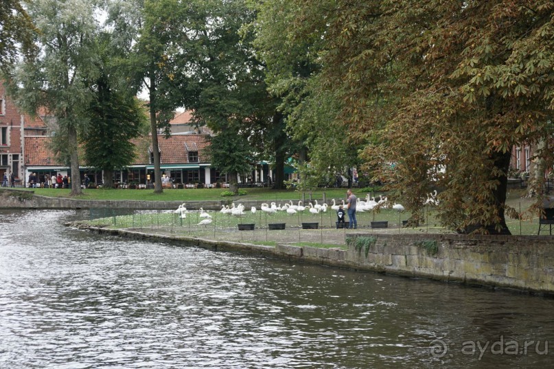 Брюгге, Бельгия. «Гулять, так гулять!». Брюгге – день