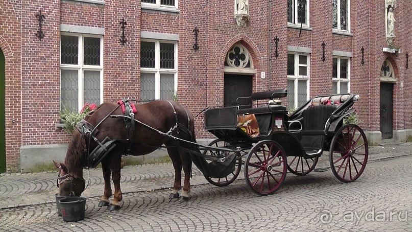 Брюгге, Бельгия. «Гулять, так гулять!». Брюгге – день