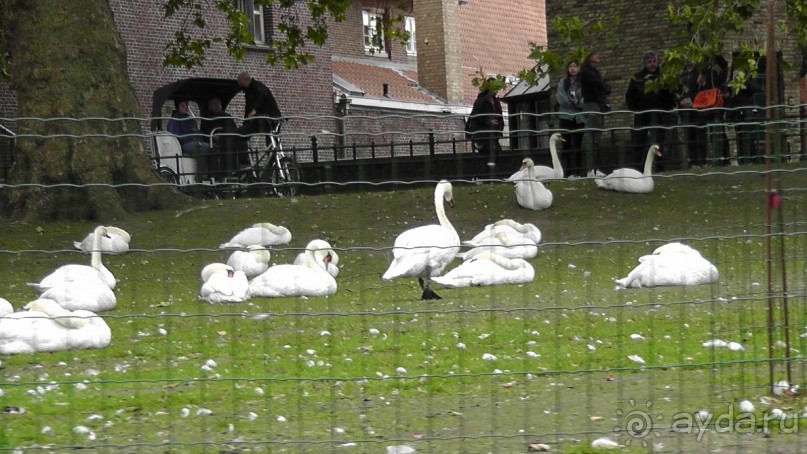 Брюгге, Бельгия. «Гулять, так гулять!». Брюгге – день