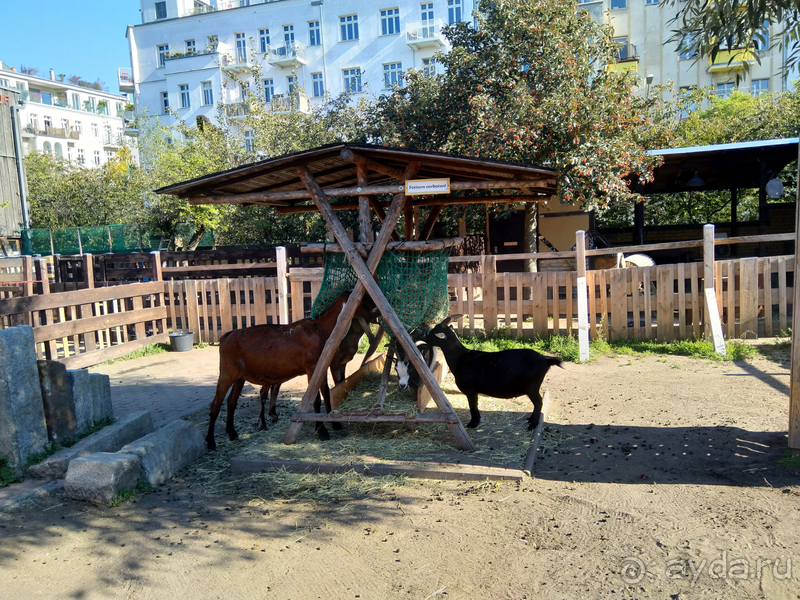 Альбом истории "Берлин, Германия. Где живут сами берлинцы, район Пренцлауэерберг."