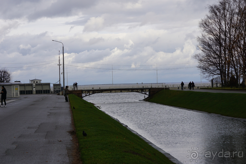 Петергоф, Россия. Парк Петергофского дворца. Часть I.