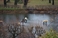 Петергоф, Россия. Парк Петергофского дворца. Часть I.