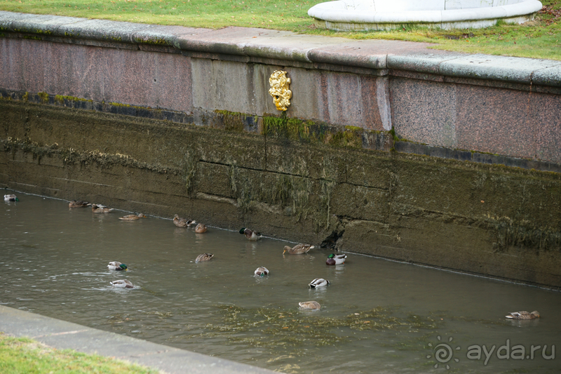 Петергоф, Россия. Парк Петергофского дворца. Часть I.
