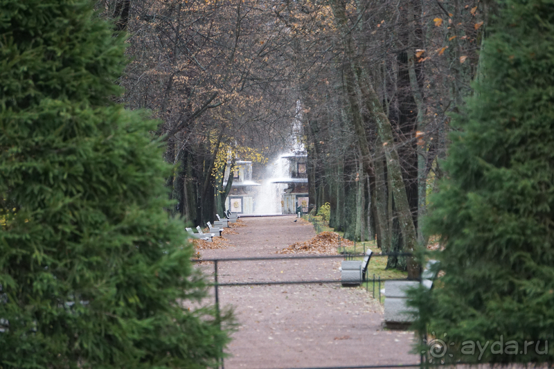 Петергоф, Россия. Парк Петергофского дворца. Часть I.