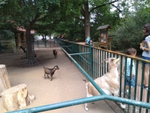 Тюрингия, Германия. Альтенбург - несправедливо забытые город и крепость. Часть I.