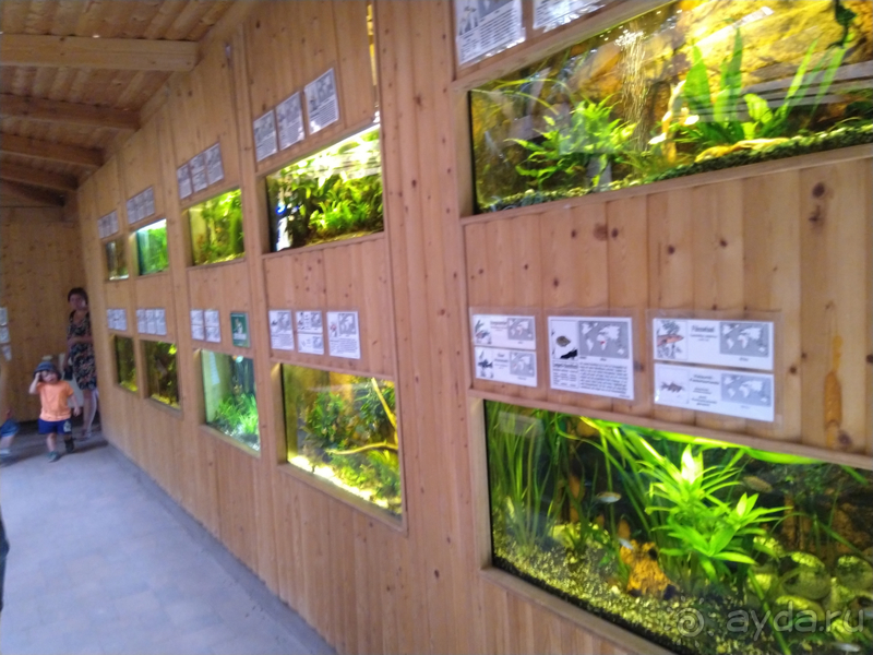 Тюрингия, Германия. Альтенбург - несправедливо забытые город и крепость. Часть I.