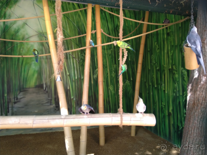 Тюрингия, Германия. Альтенбург - несправедливо забытые город и крепость. Часть I.