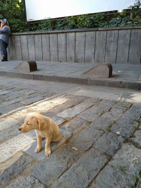 Грузия, Тбилиси. Попала в Грузию в карантин и я попала… От Мейдана до пл.Свободы. 