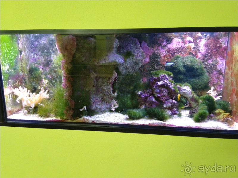 Саксония, Германия. Малые городки – Ауэрбах, Вердау, Вислау-Хаслоу, Киршберг, Цвениц.