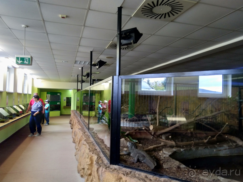 Саксония, Германия. Малые городки – Ауэрбах, Вердау, Вислау-Хаслоу, Киршберг, Цвениц.