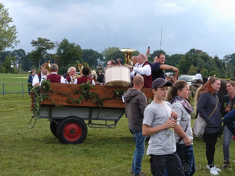 Саксония, Германия. Малые городки – Ауэрбах, Вердау, Вислау-Хаслоу, Киршберг, Цвениц.