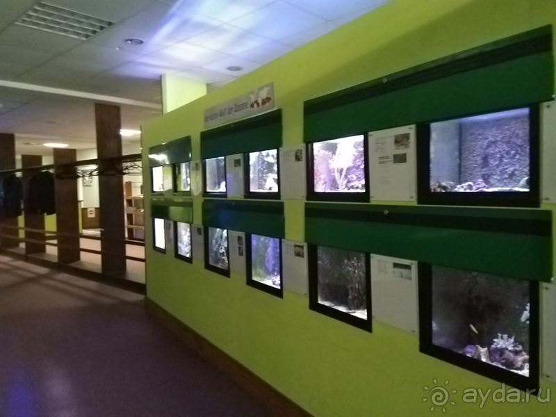 Саксония, Германия. Малые городки – Ауэрбах, Вердау, Вислау-Хаслоу, Киршберг, Цвениц.