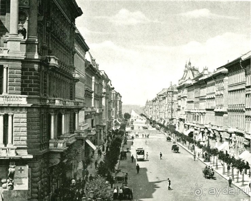 фото Euphoria Palm Beach Resort