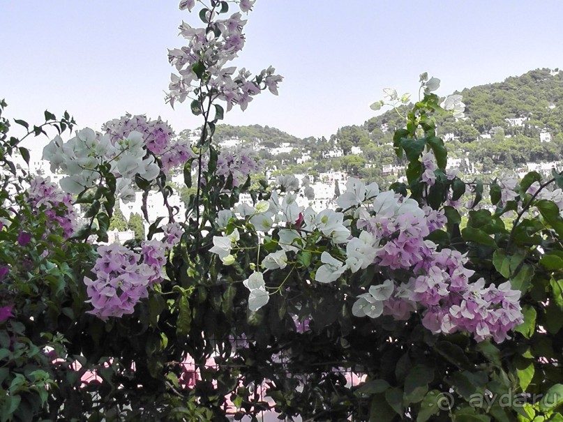 Вечный Рим, старый-новый Неаполь, о.Капри, яркая Амальфитана - вечная прекрасная страна Италия!