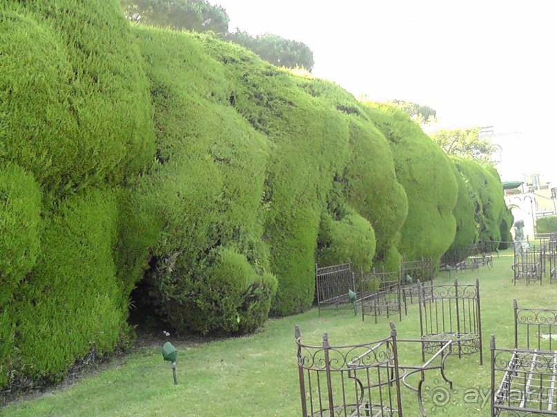 Вечный Рим, старый-новый Неаполь, о.Капри, яркая Амальфитана - вечная прекрасная страна Италия!