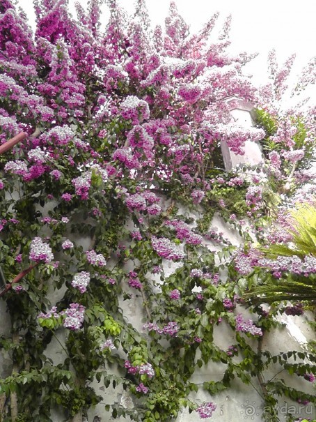 Вечный Рим, старый-новый Неаполь, о.Капри, яркая Амальфитана - вечная прекрасная страна Италия!