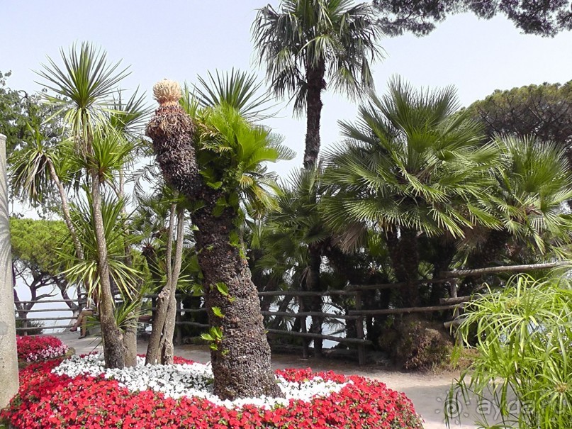 Вечный Рим, старый-новый Неаполь, о.Капри, яркая Амальфитана - вечная прекрасная страна Италия!