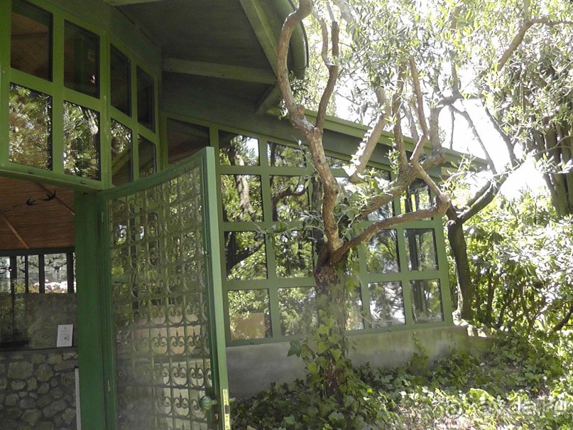 Вечный Рим, старый-новый Неаполь, о.Капри, яркая Амальфитана - вечная прекрасная страна Италия!