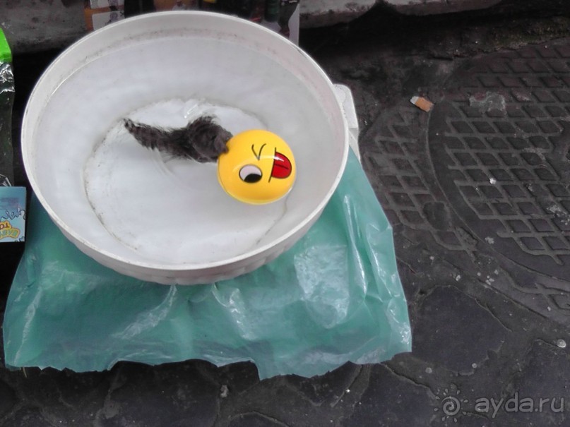 Вечный Рим, старый-новый Неаполь, о.Капри, яркая Амальфитана - вечная прекрасная страна Италия!