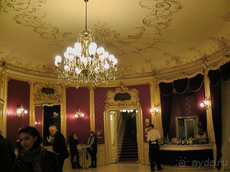 Прага - черный лебедь над Влтавой