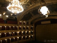 Прага - черный лебедь над Влтавой