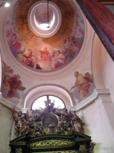 Прага - черный лебедь над Влтавой