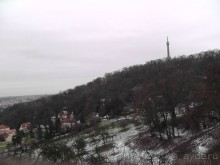 Прага - черный лебедь над Влтавой