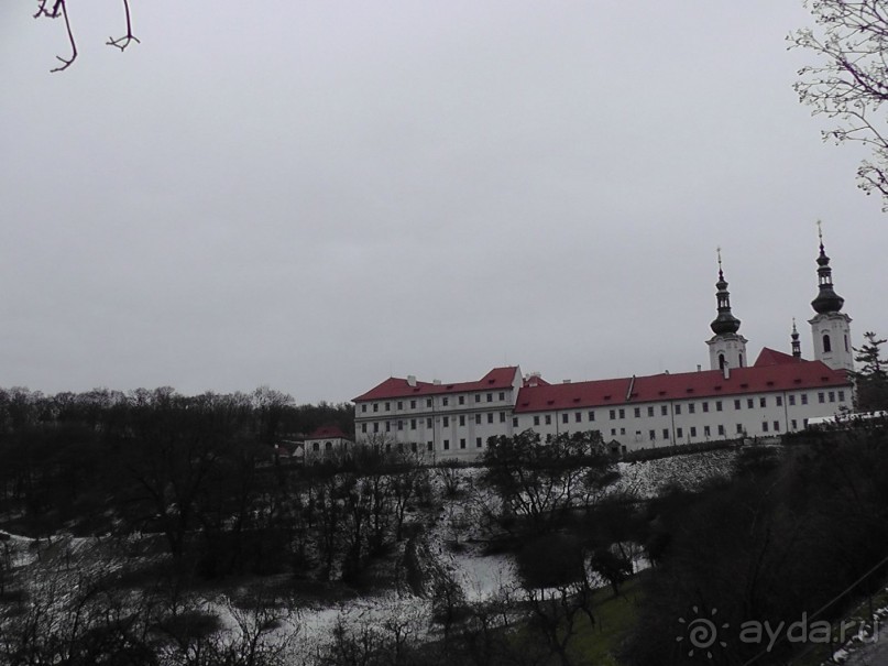 Прага - черный лебедь над Влтавой