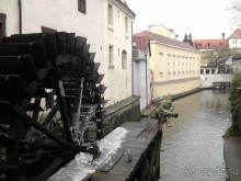 Прага - черный лебедь над Влтавой