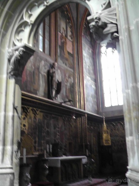 Прага - черный лебедь над Влтавой