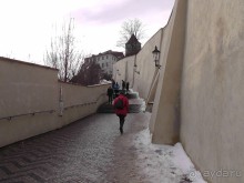 Прага - черный лебедь над Влтавой