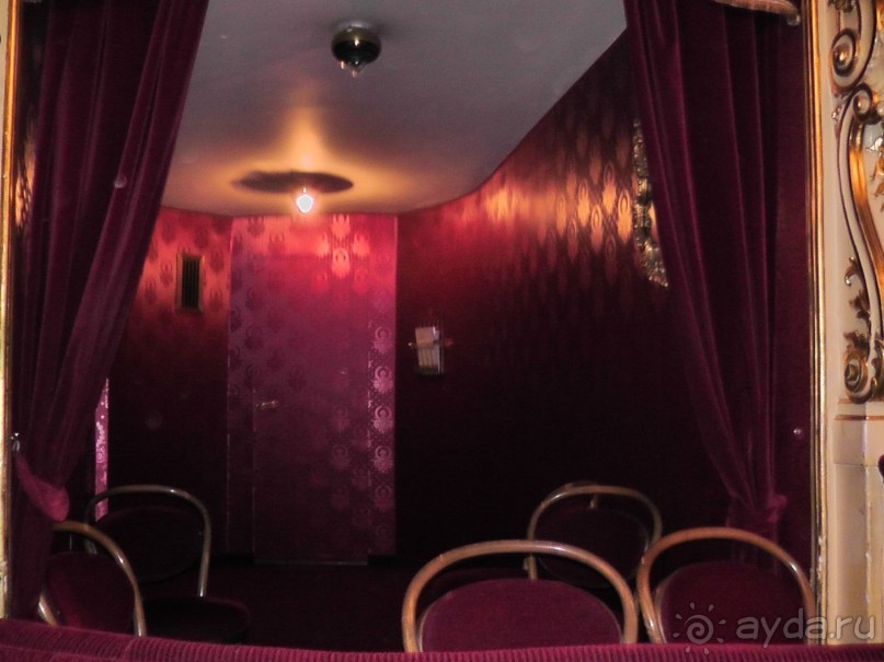 Прага - черный лебедь над Влтавой