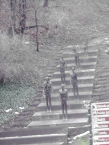 Прага - черный лебедь над Влтавой