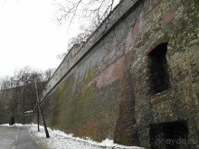 Прага - черный лебедь над Влтавой