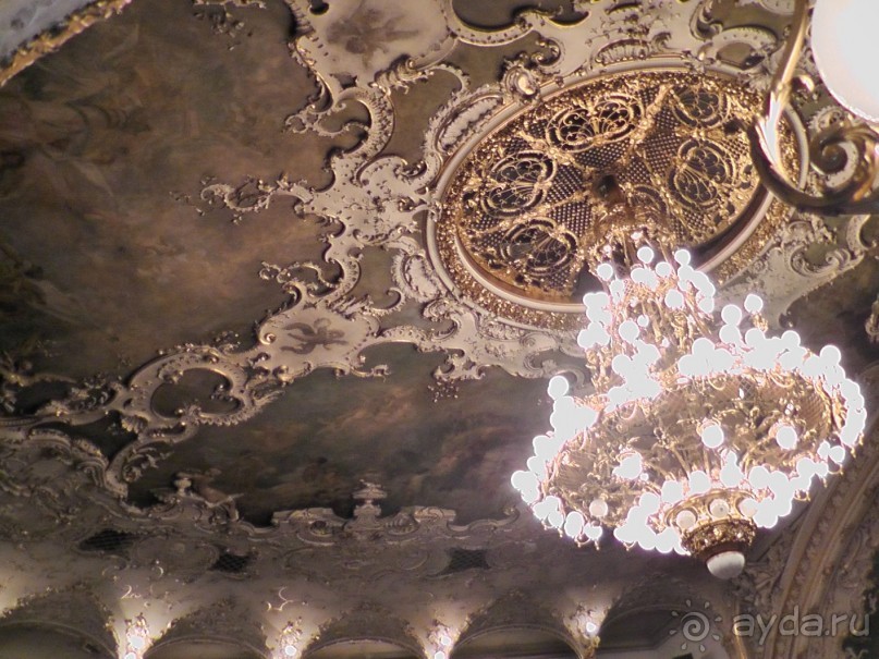 Прага - черный лебедь над Влтавой